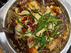 -乡土特色.冷锅鱼.牦牛肉汤锅