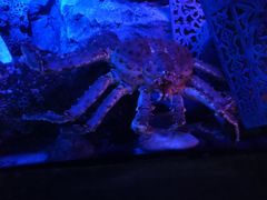 -沈阳海洋探索中心