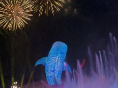 -珠海长隆海洋王国