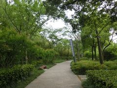 -新江湾城公园