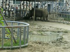 -哈尔滨北方森林动物园