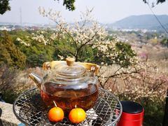 -香雪海