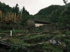 -MOJ coffee(瓯海泽雅水碓坑店)