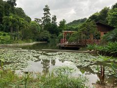 -云溪植物园