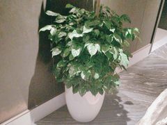 -观宴·品质赣菜(高新大道店)