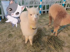 -Blue Concept Cafe&Farm·關於藍
