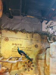 -奇幻萌宠部落(映月湖环宇城店)