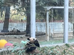-西安秦岭野生动物园