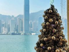 -海港城