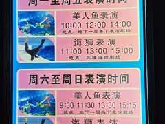 -长春中泰海洋世界