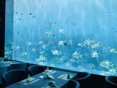 -瑞德姆美人鱼海底演艺主题餐厅(亚龙湾店)