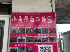 -小鱼草莓采摘园农家乐·小鱼餐厅