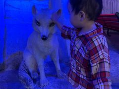 -华夏文旅海洋公园