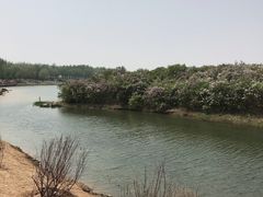 -丁香湖公园