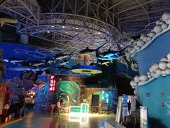 -烟台海昌鲸鲨海洋公园