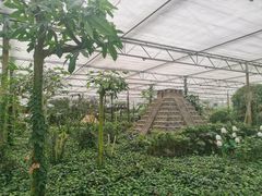 -南宫五洲植物乐园