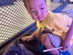 -杭州宝龙艺术中心