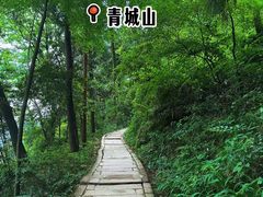 -青城山