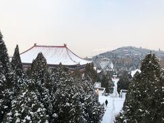 -龙口南山旅游景区
