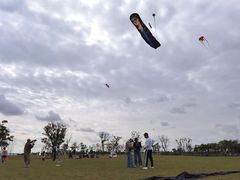 -春花秋色城市公园