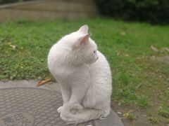 -西南民族大学南区(双流校区)