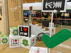 -长洲岛