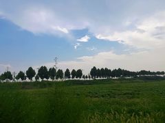 -洛阳白马寺