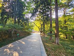 -敬亭山风景名胜区