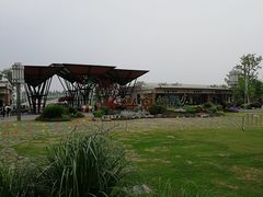 -上海长兴岛郊野公园