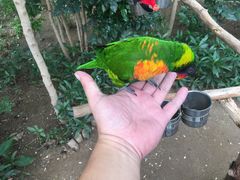 -南宫五洲植物乐园