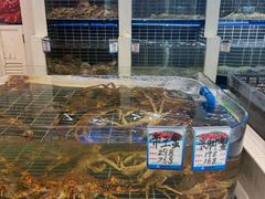 -海悦汇•闽菜•蒸汽海鲜(合景峰汇商务广场店)