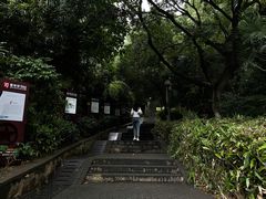 -伯先公园