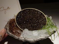 -壳里西餐厅Coquille Seafood Bistro(蒙自路店)