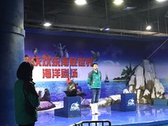 -重庆欢乐海底世界