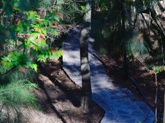 -草庵摩尼教遗址公园