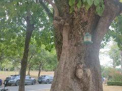 -福建鲤鱼洲酒店