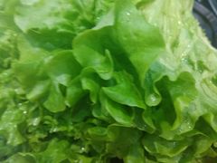生菜叶-猪小牛烤肉(青塔店)