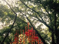 -晓港公园