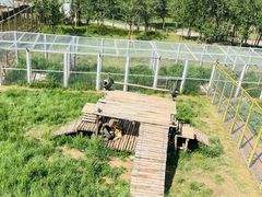 -青藏高原野生动物园