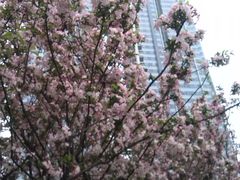 -海力健身游泳(太古里朗御店)