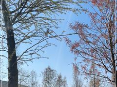 -捞渔河湿地公园