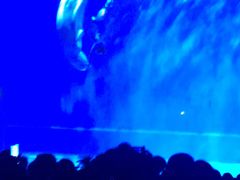 -芜湖新华联大白鲸海洋公园