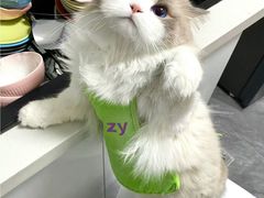 -麦德龙(十里河店)
