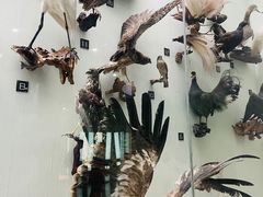 -国家自然博物馆