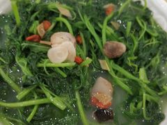 上汤苋菜-姚林轩
