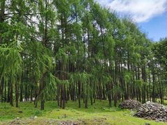 -硗碛藏寨·神木垒景区