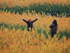 -三圣花乡旅游区