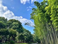 -苏州环秀晓筑养生度假村