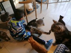 -平行世界·猫咖(首经贸店)