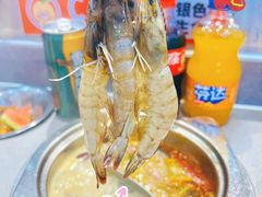 -大橘元自助回转火锅(天河新天地店)